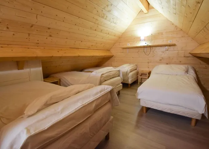 Fuer 12 Personen In Luz Saint Sauveur By Interhome