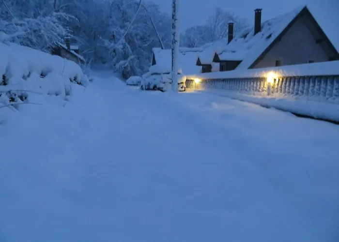 Fuer 12 Personen In Luz Saint Sauveur By Interhome *